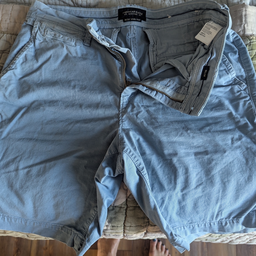 American Eagle Outfitters Men's Light Blue Flat Front Shorts